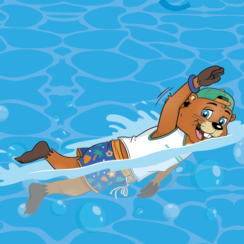 Bobby zwemmen De Grote Koppel Bobby zwemmen De Grote Koppel